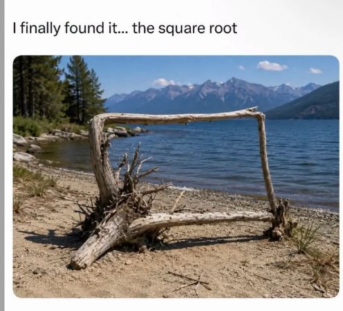square root garden.2.jpg